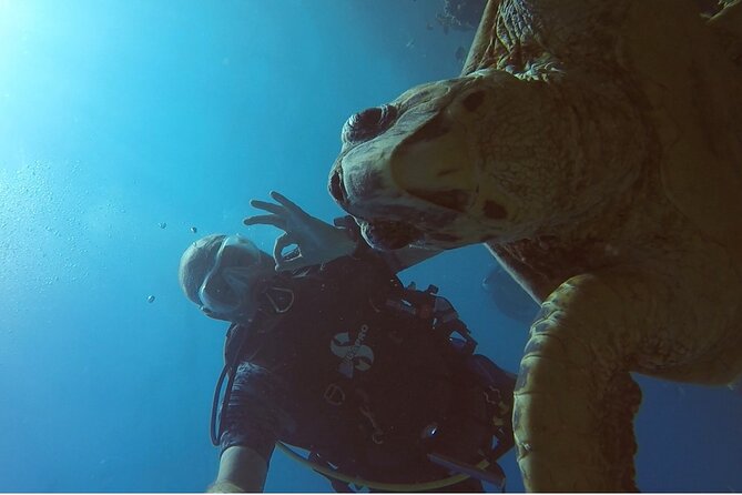 PADI Advanced Diving Course in Hurghada - Learn Scuba Diving - Under the hood: what these skills change for your real diving days