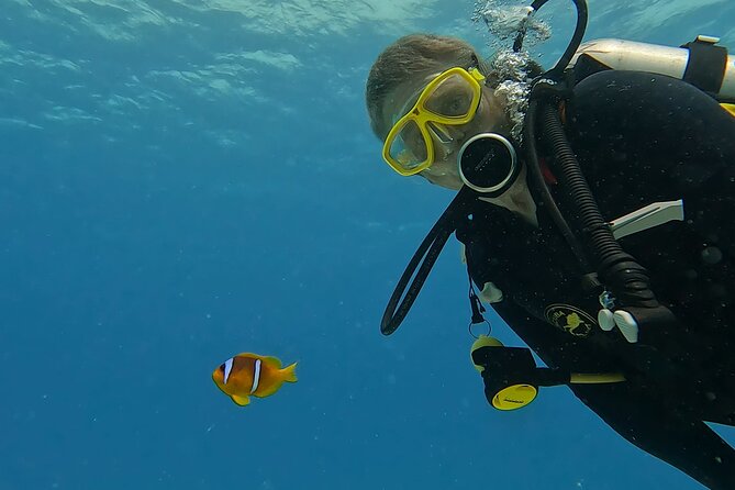PADI Advanced Diving Course in Hurghada - Learn Scuba Diving - Small-group teaching, why it matters more than you think