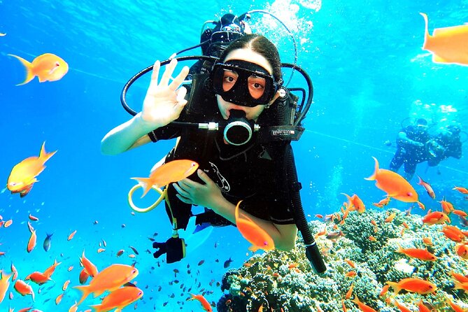 PADI Open Water Diver Course - Your 3 days at a glance: theory, confined-water skill sessions, then open-water sessions