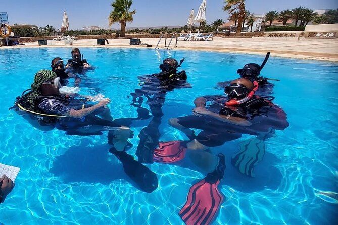 PADI Open Water Diver Course in Hurghada - Learn Scuba Diving - Why Hurghada Works Well for Your First PADI Open Water Steps