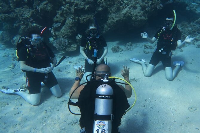 PADI Open Water Diver Course - Instructor quality is the real difference, and the reviews give you clues