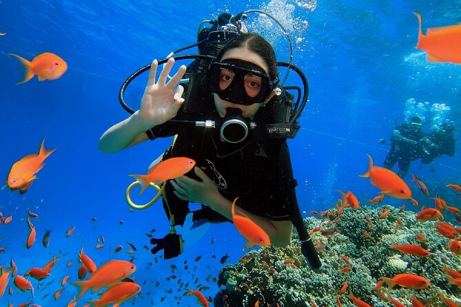 PADI Scuba Diver (PSD) - Two Days in Sharm el Sheikh: What You Really Get With PSD
