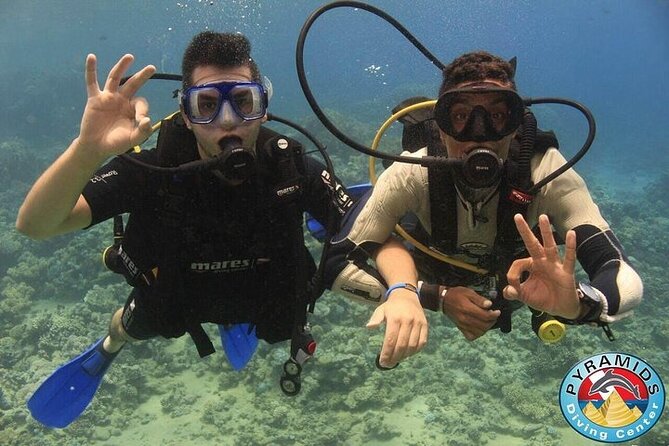 PADI Scuba Diver (PSD) - Price and Value: Is $319.87 Fair for Two Days in the Red Sea?