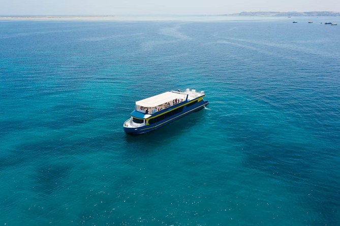 Paradise Catamaran Conquest 2 Hours Semi Submarine & snorkeling - Hurghada - Who this tour suits best, and who should rethink it