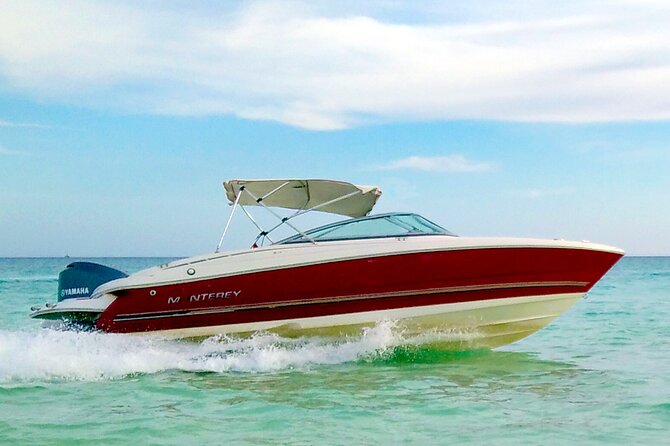 PRIVATE! | 4-hour Speed Boat Trip | Swim With Dolphins, Snorkeling & Island - Transfers, timing, and how to plan your day