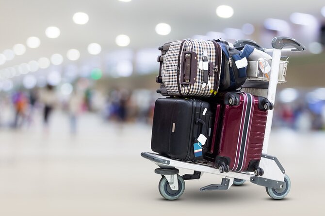 Private Airport Transfer in Cairo - Who This Transfer Is Best For