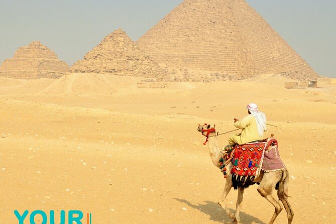Private Cairo tour from Hurghada: No Shopping| Nile Cruise| Lunch - Food, Tickets, and Small Comforts That Make the Day Work
