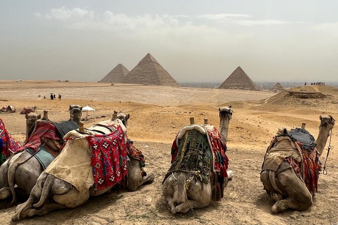 Private Day Pyramids and Grand Egyptian Museum with free camel - Private transfers, Egyptology guidance, and why it feels calmer than most days