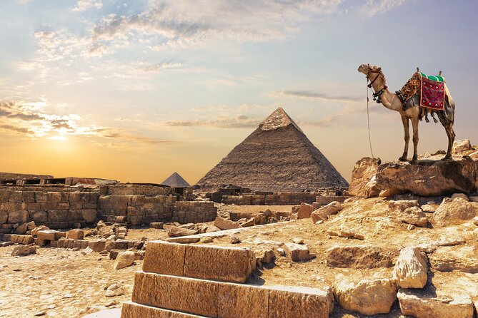 Private Day Pyramids and Grand Egyptian Museum with free camel - What $10 per person really means for value in Cairo