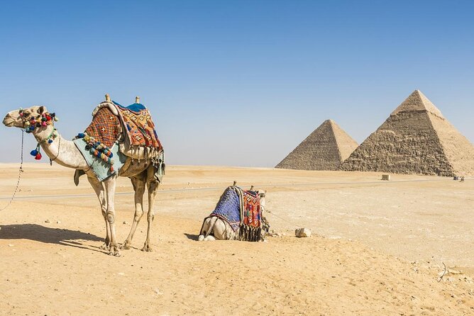 Private Day Tour to Cairo with Flights and Lunch from Hurghada - Giza highlights: pyramids, the Great Sphinx, and your camel ride