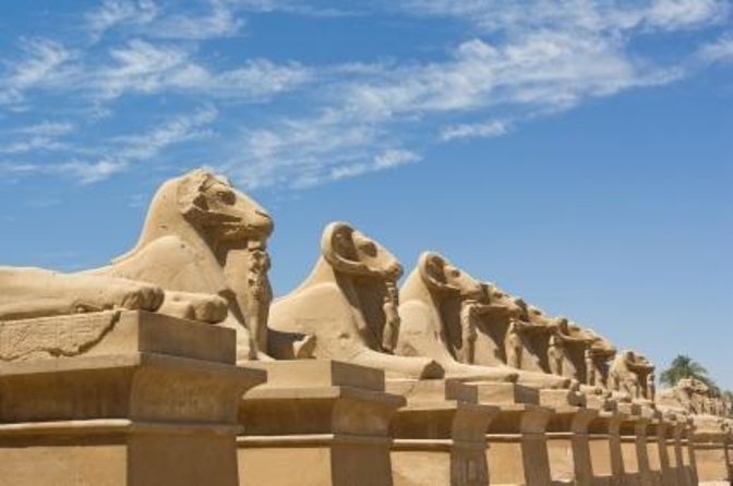 Private Day Tour To Luxor from Cairo by Plane,Tours,Sailing Felucca,Camel&Lunch - Key things that make this Luxor day tour worth your time