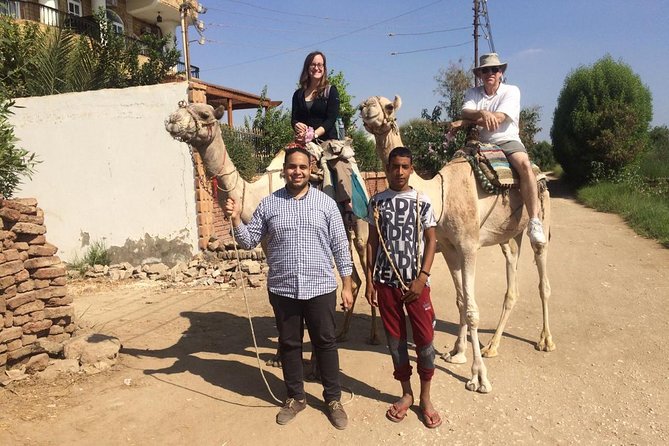 Private Day Tour To Luxor from Cairo by Plane,Tours,Sailing Felucca,Camel&Lunch - Price and what you actually get for $422