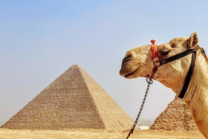 Private day trip to Cairo from Hurghada - Lunch in the Middle of a Long Day