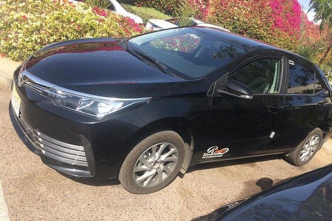 Private Departure Transfer from Cairo City to Cairo Airport - Timing your pickup for early flights and the right terminal