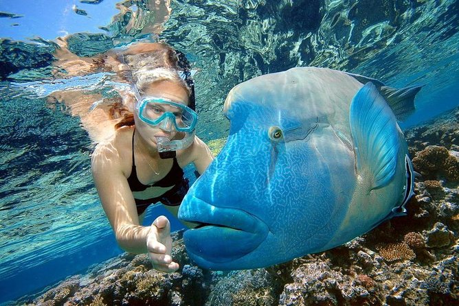 Private Dolphin House Boat Tour with Snorkeling & Lunch- Hurghada - Pickup, Timing, and Extra Fees You Must Budget For