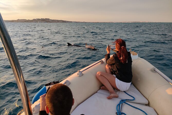 Private Dolphin Watching And Snorkeling Tour - Key Highlights That Make This Tour Worth Your Time