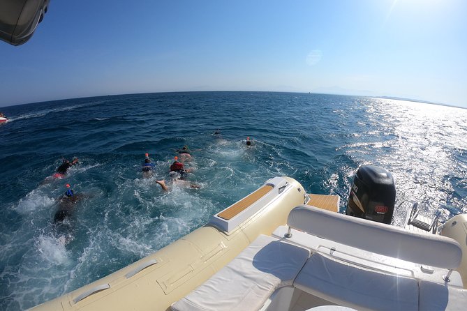 Private Dolphin Watching And Snorkeling Tour - Abu Minqar Island: The Calm Ending With Swim and Sun