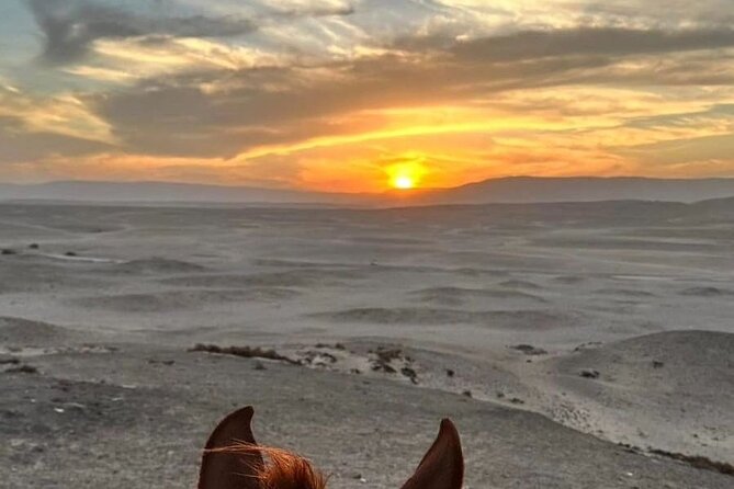 Private Horse Riding Tour in Luxor West Bank - Starting Early From Luxor West Bank, With a Real Sense of Place