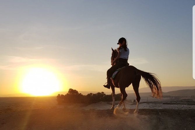 Private Horse Riding Tour in Luxor West Bank - Getting Past the “Just a Horse Ride” Label