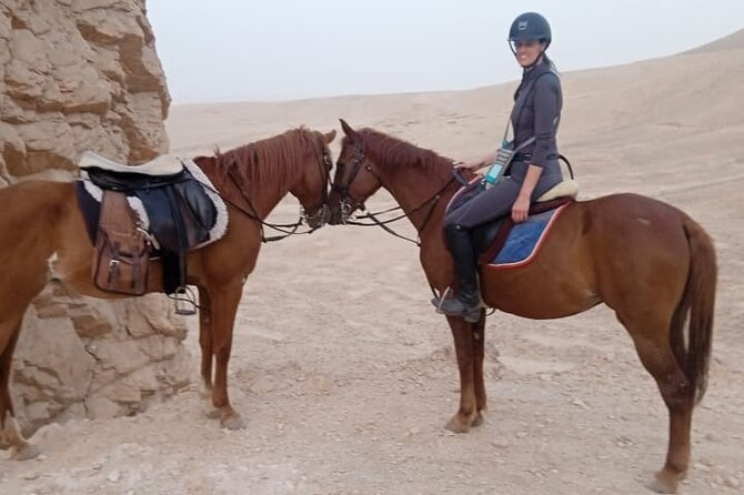 Private Horse Riding Tour in Luxor West Bank - Horses, Staff, and What Makes Riders Feel Comfortable