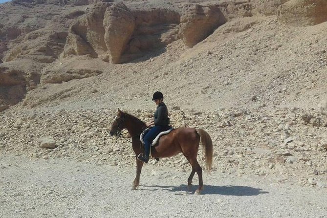 Private Horse Riding Tour in Luxor West Bank - Where You’ll Meet and What You’ll Do With Time