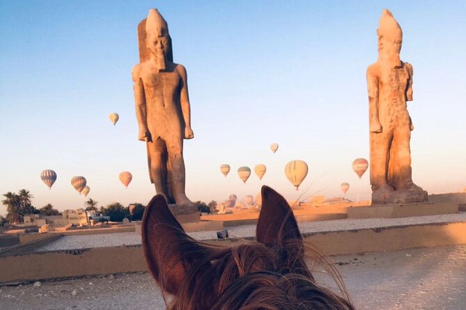 Private Horse Riding Tour in Luxor West Bank - Price and Value: Is $12 Per Person a Good Deal Here?