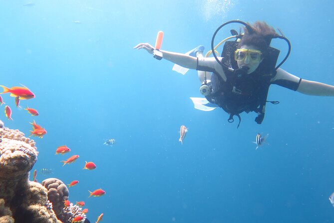 Private sea trip Hurghada - Your day on the water, step by step
