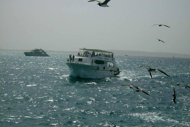 Private sea trip Hurghada - Should you book this private sea trip from Hurghada?