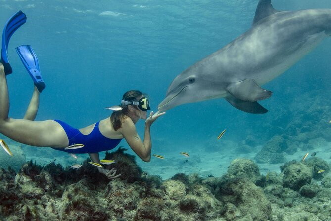 Private Speed Boat Snorkeling with Dolphins Trip - Hurghada - Speedboat to the Dolphin House, with pickup that keeps mornings simple