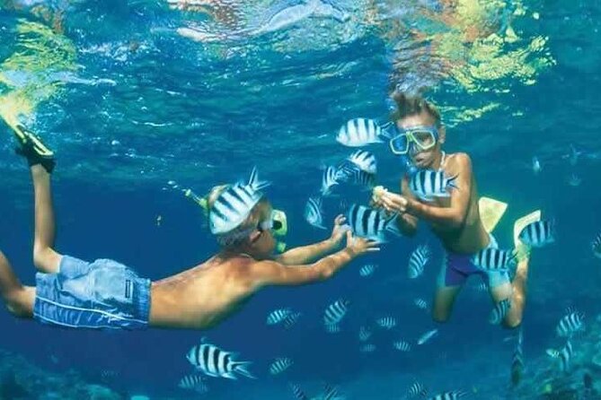 Private Speed Boat Snorkeling with Dolphins Trip - Hurghada - What happens during the 4 hours, and why the timing works