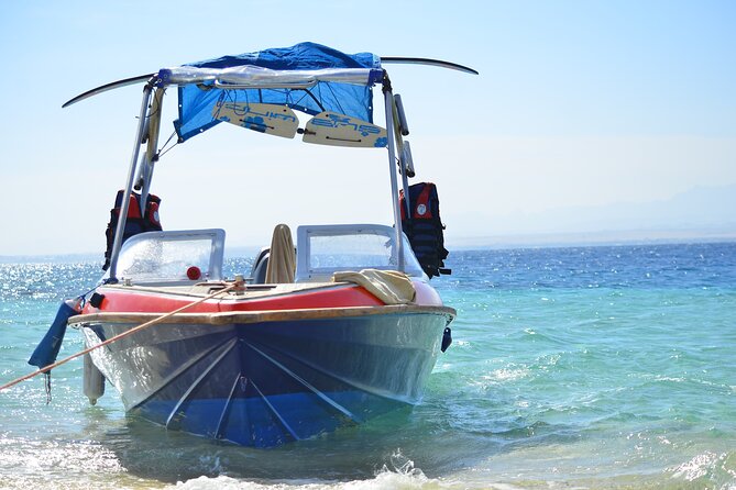 Private Speed Boat & Swim With Dolphins & Water Sports-hurghada - Why a private speedboat day makes sense in Hurghada