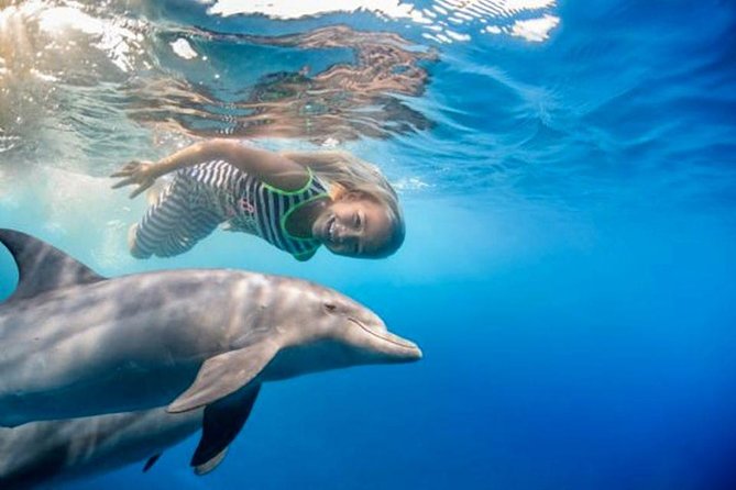Private Speed Boat to Magawish Island's Hidden Wonders - Hurghada - Speed Boat to Magawish Island, what makes it special