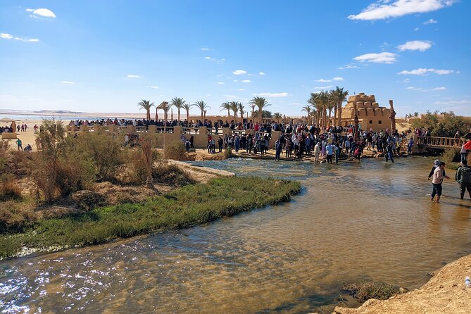 Private tour El Fayoum Oasis and Wadi Rayan waterfall from Cairo - Cairo to Al Fayoum, minus the self-drive stress