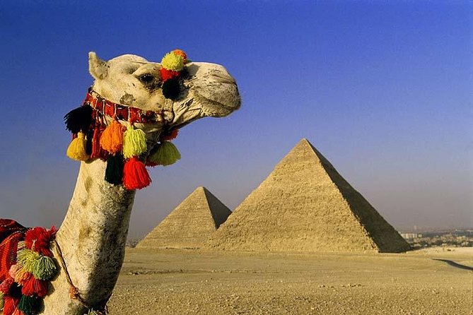 Private Tour to Giza Pyramids, Sphinx, Saqqara Pyramids & Memphis - Price and value: is $30 per person a smart deal?