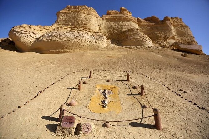 Private Tour to Whales Valley & Wadi El Rayan Waterfalls in El Fayoum from Cairo - Tunis Village (Izbat Tunis): salt lake views with real “desert edge” energy