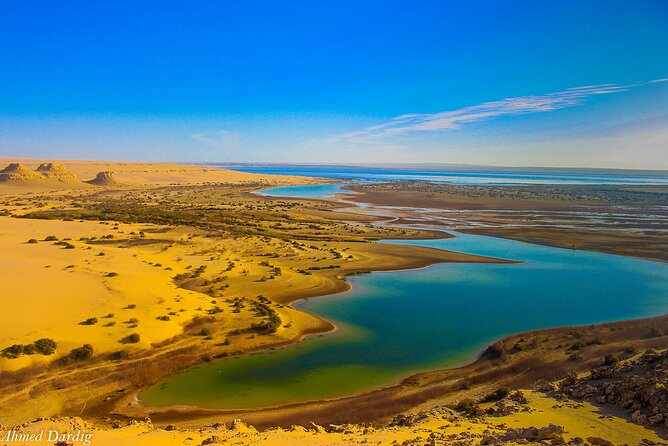 Private Tour to Whales Valley & Wadi El Rayan Waterfalls in El Fayoum from Cairo - Timing, pickup, and the Cairo-to-Fayoum reality check