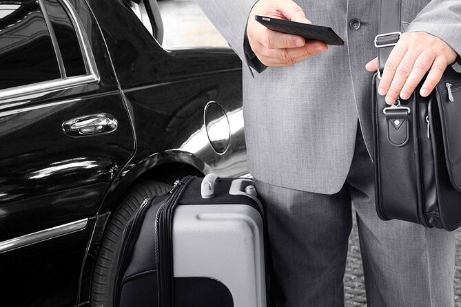 Private Transfers to/from Cairo Airport & Hotels in Cairo & Giza - Flight tracking and why it saves real vacation time
