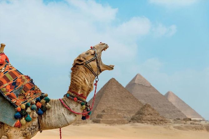 Private ViP all-inclusive Giza Pyramids,Sphinx,Inside Pyramid - Logistics that can make or break your day at Giza