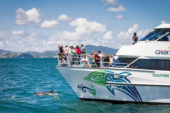 Private Yacht Cruise to Dolphin House with Lunch : Hurghada - From Hotel Pickup to Private Yacht in Hurghada