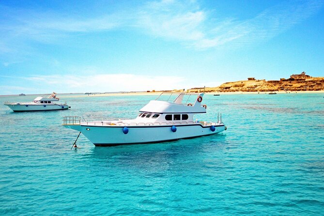 Private Yacht Cruise to Dolphin House with Lunch : Hurghada - Dolphin House: What to Expect From the Dolphin Encounter