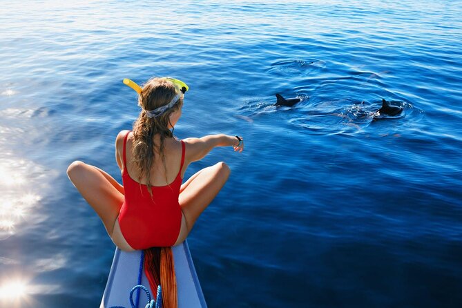 Private Yacht Cruise to Dolphin House with Lunch : Hurghada - Two Snorkeling Stops With Gear and a Pro Guide