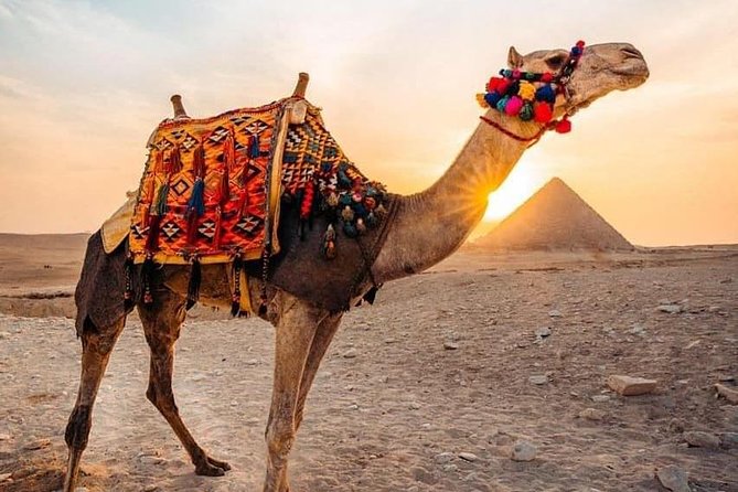 Pyramids camel ride - Key highlights worth your attention