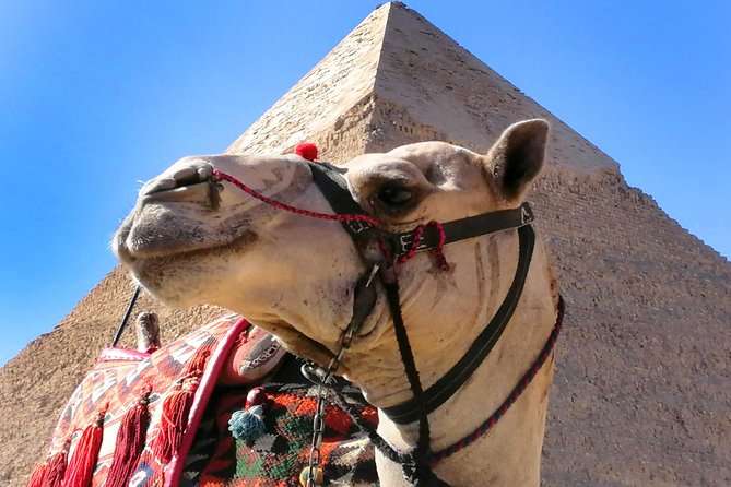 Pyramids of Giza, the Sphinx, the Egyptian Museum. - Price and Value: What $160 Buys You in Cairo