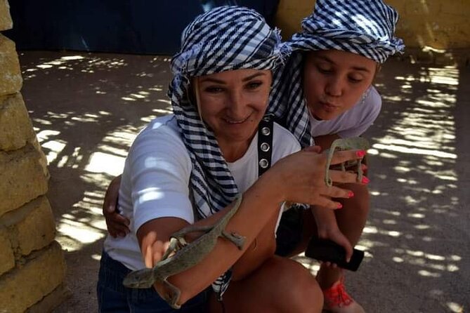 Quad 3 hours VIP safari adventure Hurghada - The Photos, Scarves, and Desert Gear That Actually Matter