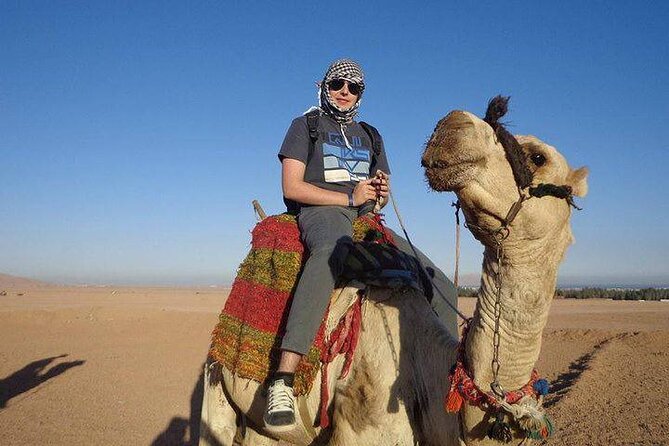 Quad Biking Safari-Camel Ride-Bedouin Dinner and Shows From Sharm - Quad biking safari: the main event and what to expect