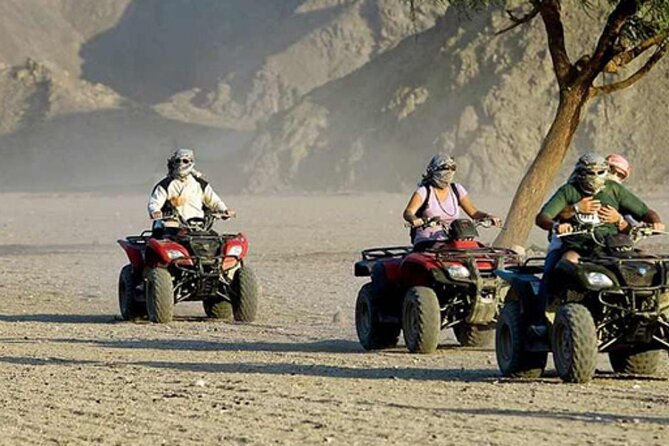 Quad with Camel Ride & Bedouin village From Marsa Alam - Key Highlights You Should Actually Care About