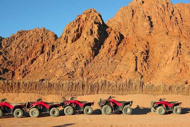 Quad with Camel Ride & Bedouin village From Marsa Alam - Quad, Camel, and Bedouin Village in Marsa Alam: What This Day Feels Like