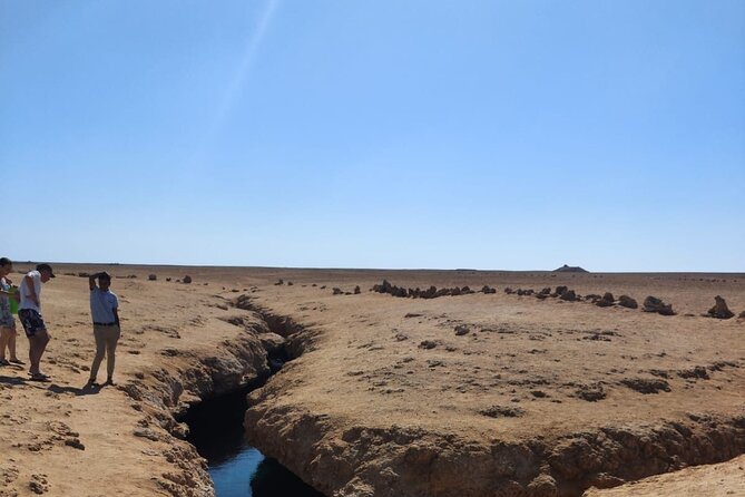 Ras Mohamed National Park Half Day Tour by Bus In Sharm El Sheikh - Coral Gardens and Allah’s Garden Reef Snorkeling: Shore Access and Simple Guidance