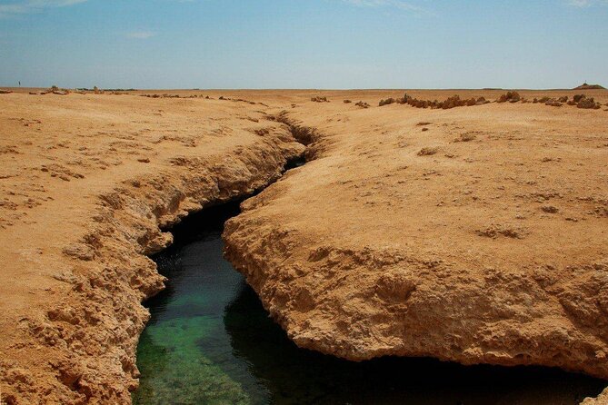 Ras Mohamed National Park Half Day Tour by Bus In Sharm El Sheikh - Earthquake Crack, Salt Marshes, and Mangroves: The Part You Remember Later