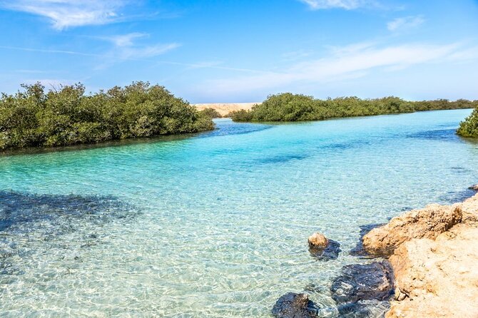 Ras Mohamed National Park Half Day Tour by Bus In Sharm El Sheikh - Guides, Language, and Small-Group Comfort